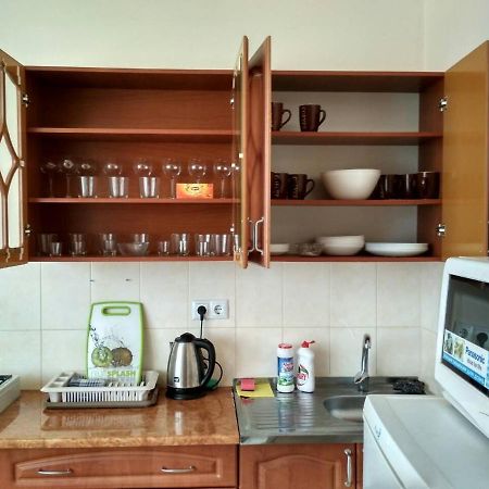 Apartments Domovik Просторная Квартира С Видом На Горы Mukačevo Esterno foto