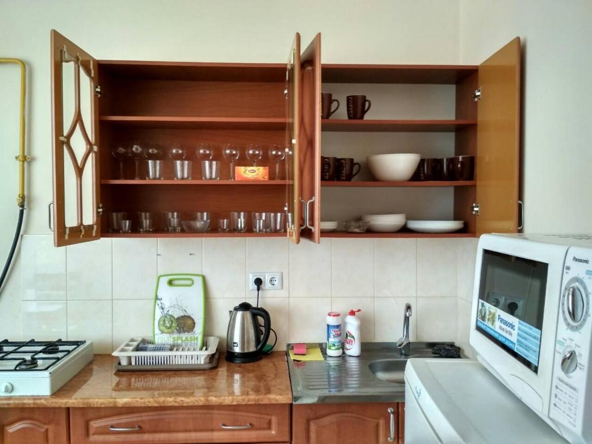 Apartments Domovik Просторная Квартира С Видом На Горы Mukačevo Esterno foto