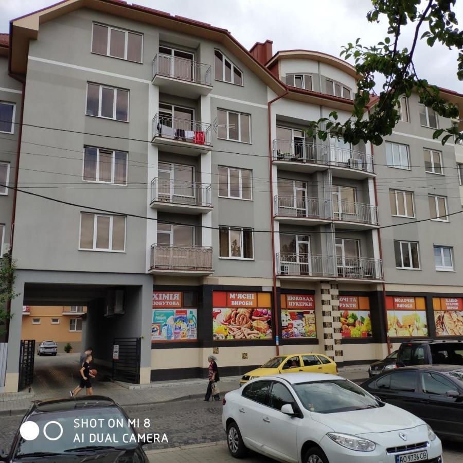 Apartments Domovik Просторная Квартира С Видом На Горы Mukačevo Esterno foto